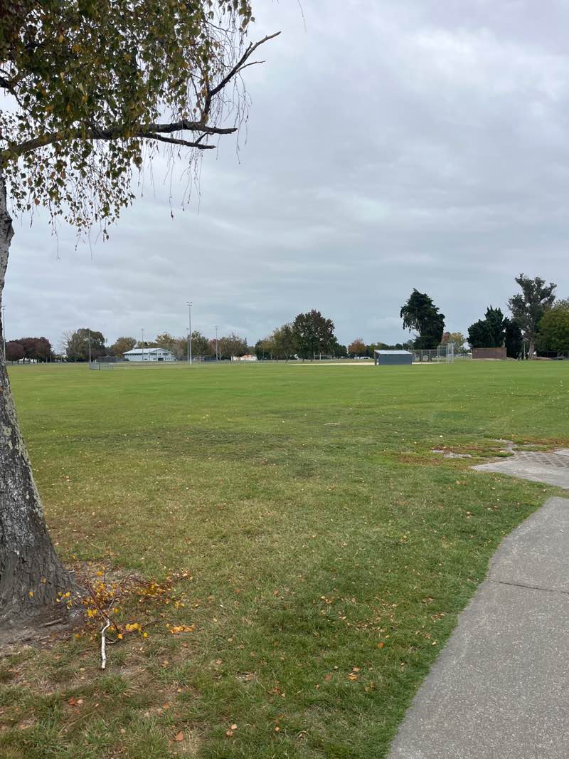 walking near me in Akina Park in autumn