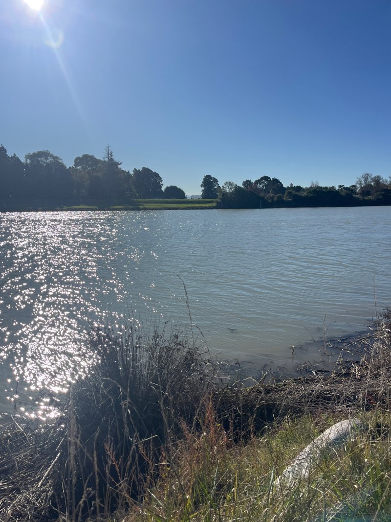 walking near me in Evers Swindell Reserve in autumn