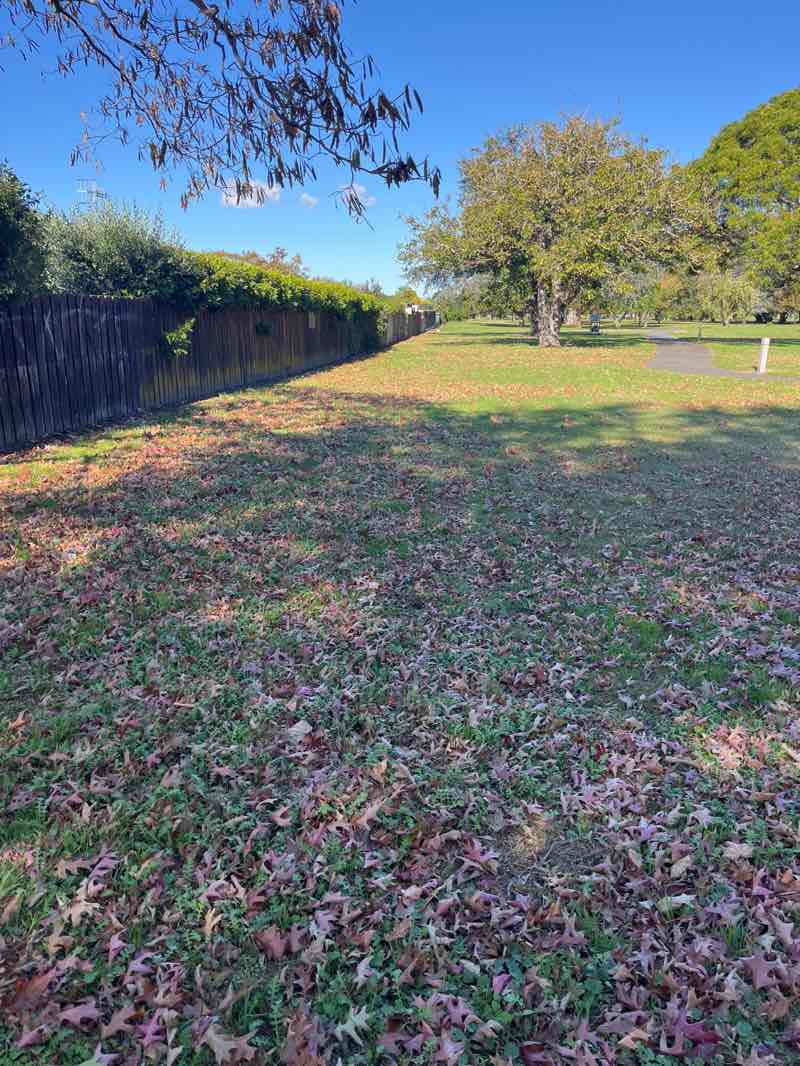 walking near me in Flaxmere Park in autumn