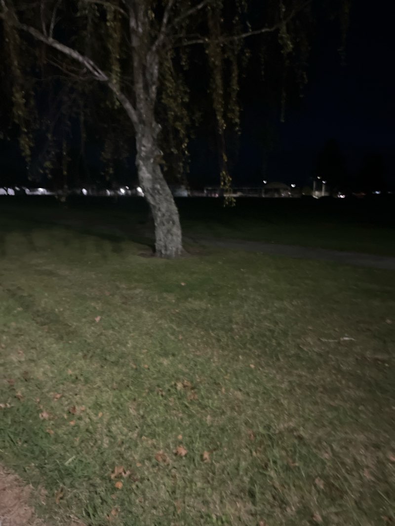 walking near me in Kirkpatrick Park in autumn