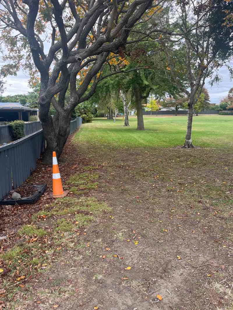 walking near me in Duke Street Reserve in autumn