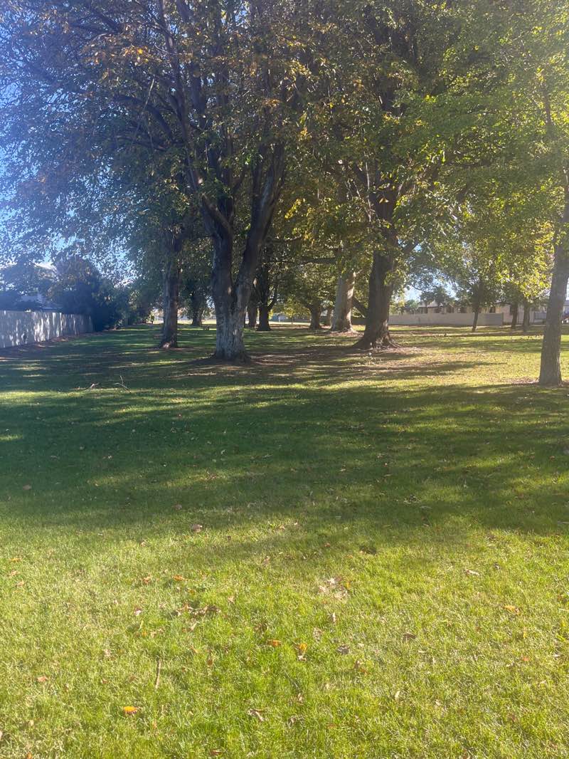 walking near me in Ebbett Park in autumn