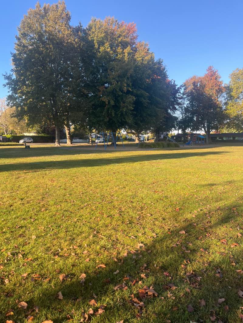 walking near me in Queens Square in autumn