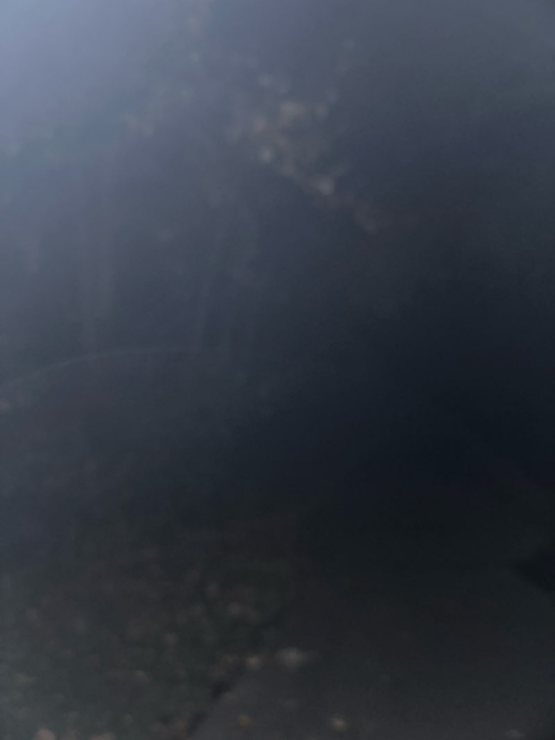 walking near me in North Green River Park in autumn