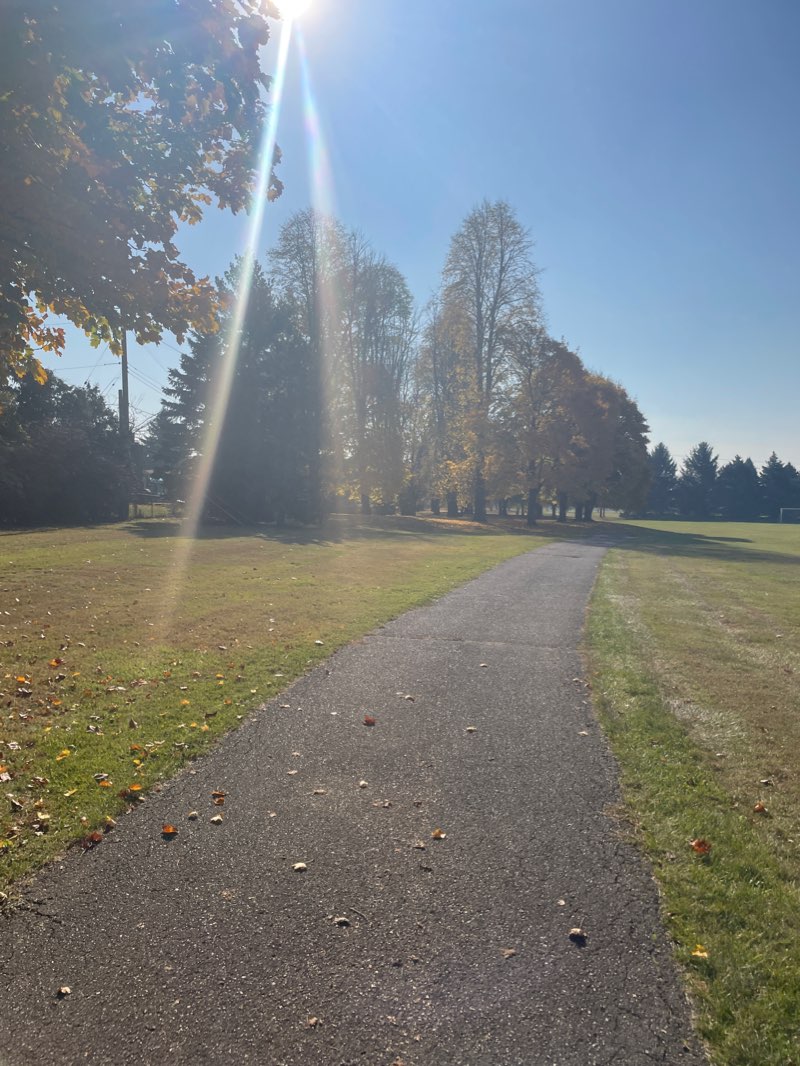 walking near me in Halmich Park in winter