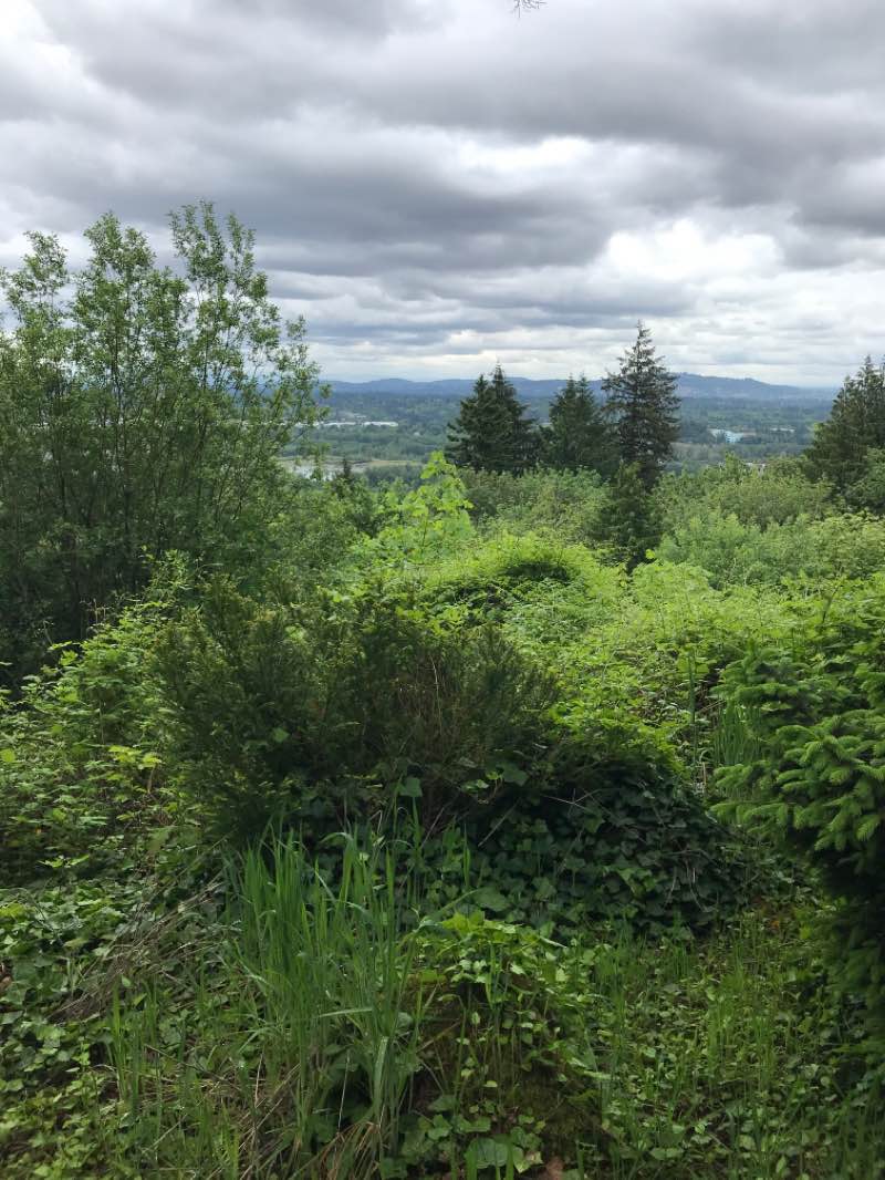 walking near me in Duniway Park in winter
