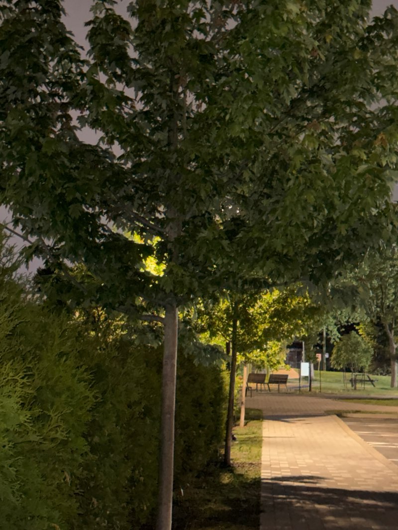 walking near me in Saint-Charles in summer