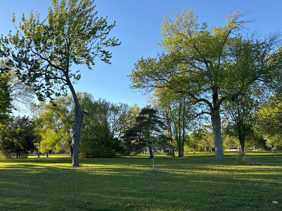 walking near me in Parc Windsor in summer