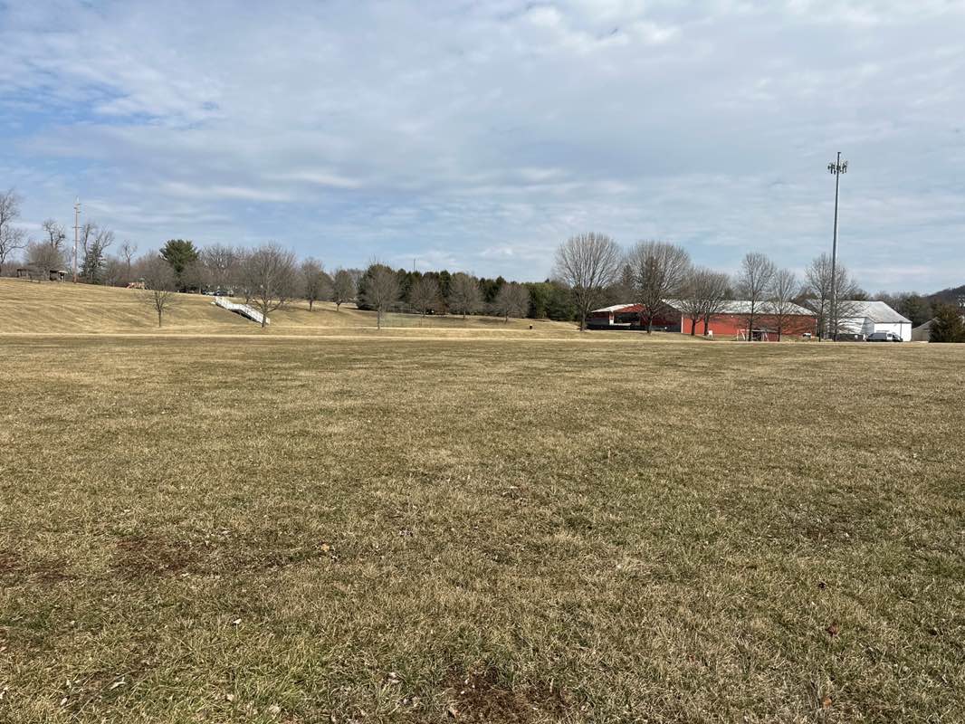 walking near me in Andrew Evans Park in spring