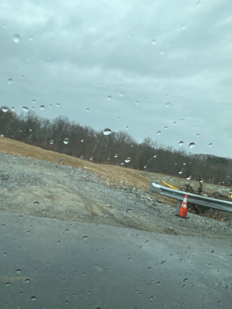 walking near me in Davis Park in spring