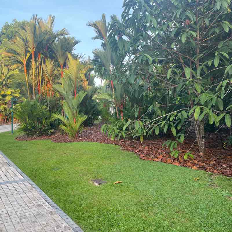 Sundram Anthony Gerard post 1