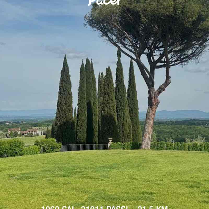 Luca post 1