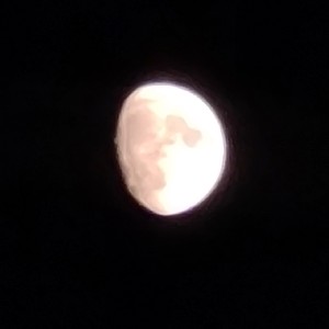 GC- Melissa Dmello icon