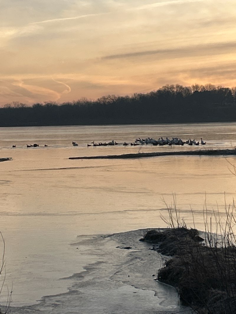 walking near me in Coralville Lake in winter