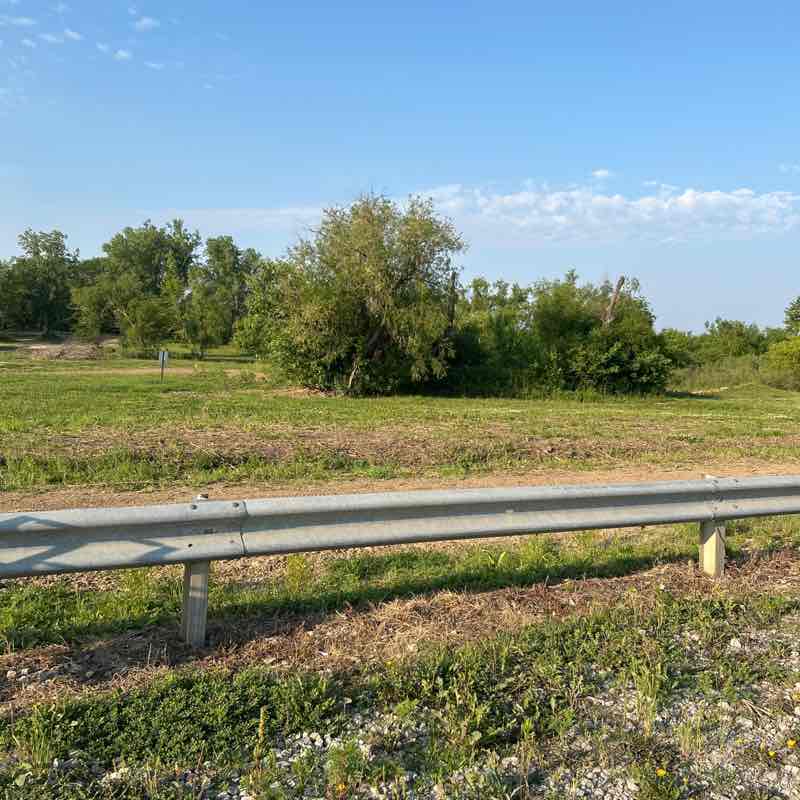 disneycps2005 post 1