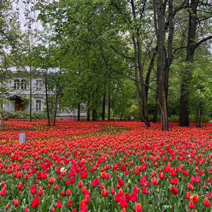 Наталья post 3