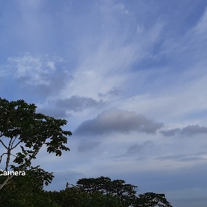 Seah Beng Choo profile