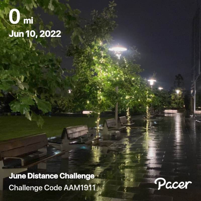 🫧💎 🪷 Aradia🌸🌺 💫 post 1