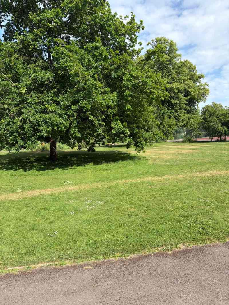 walking near me in Romsey War Memorial Park in summer