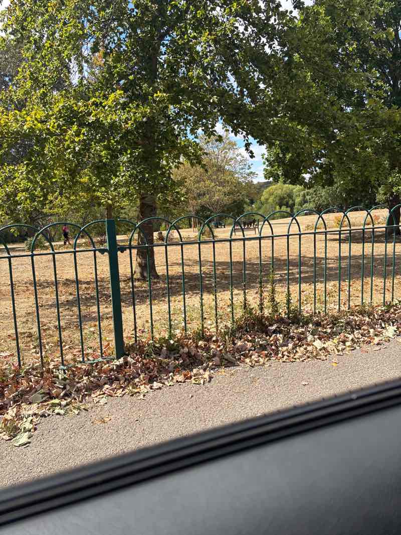 walking near me in Barclay Park in summer