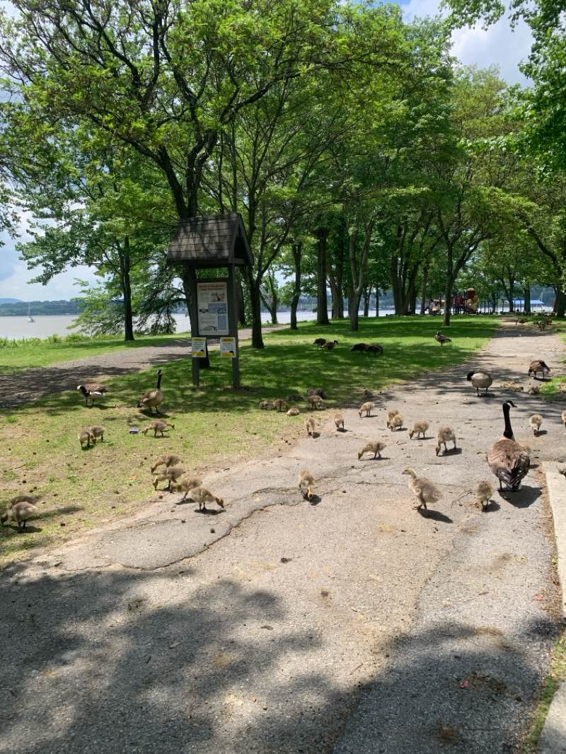 walking near me in Long Dock Park in spring
