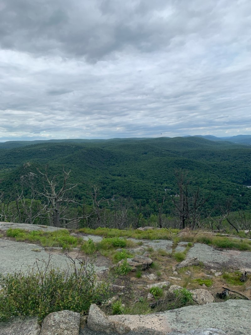 walking near me in Bear Mountain State Park in summer