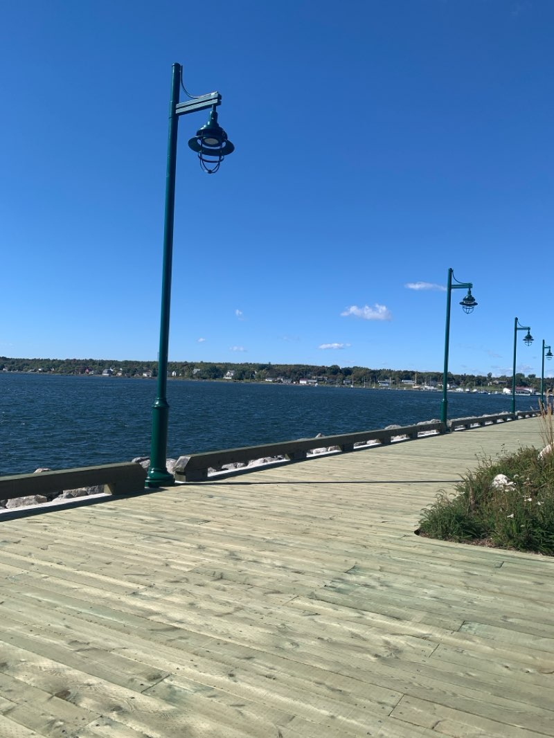 walking near me in Sydney Boardwalk Park in autumn