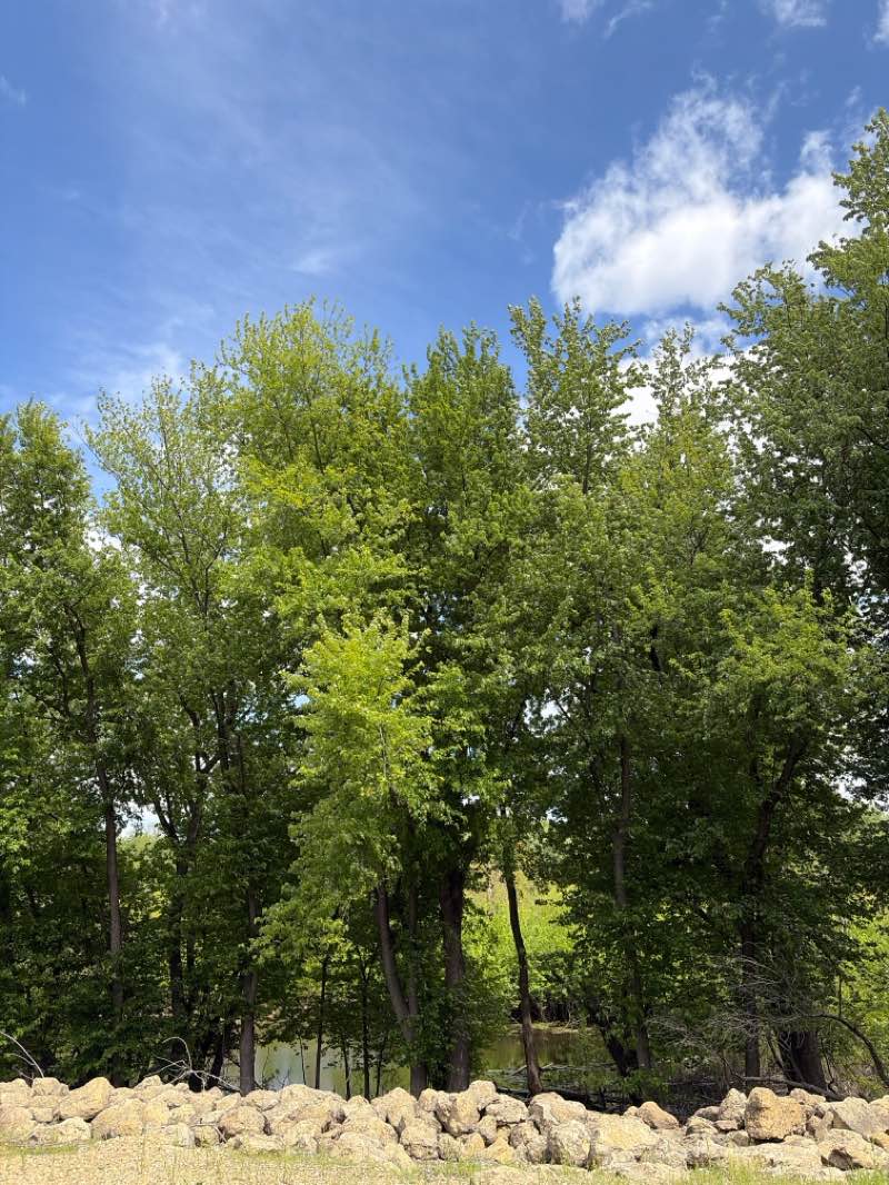 walking near me in Riverview Park in spring