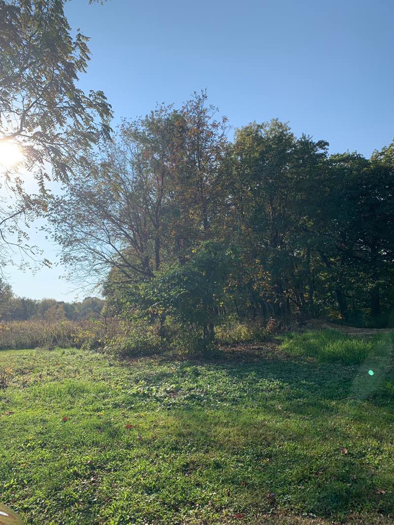 walking near me in Bellevue State Park in autumn