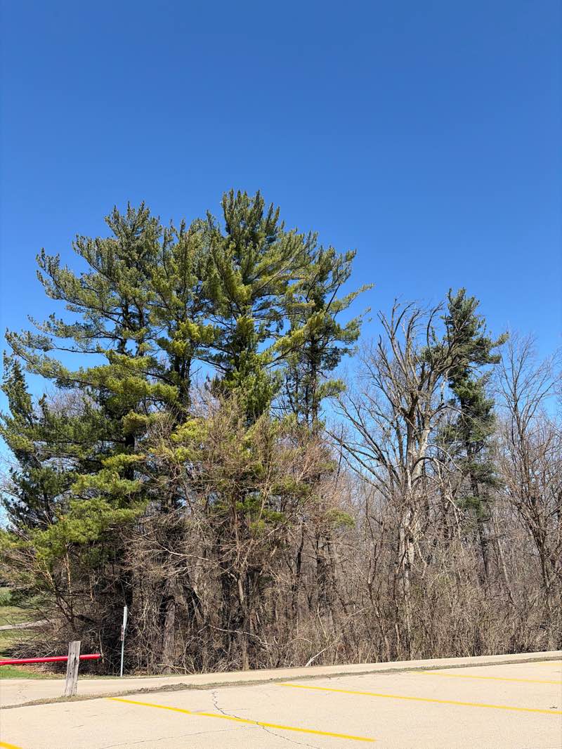 walking near me in Eagle Point Park in spring