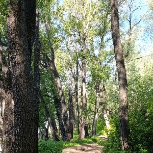 Николай profile