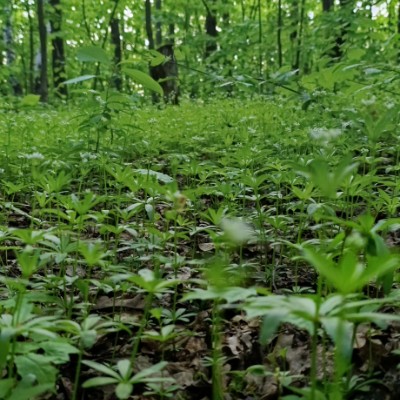 Красота вокруг нас Николай post image