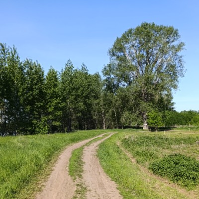 Красота вокруг нас Николай post image