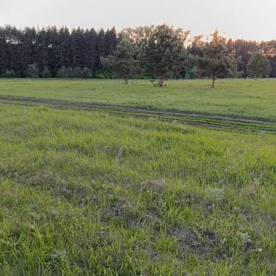 Красота вокруг нас Николай post image