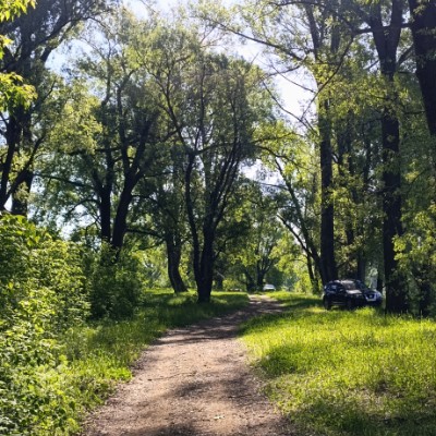 Красота вокруг нас Николай post image