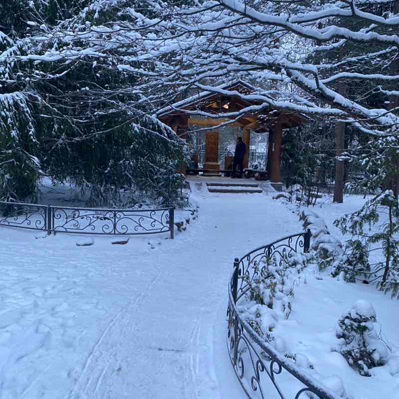 𝓐𝓵𝓮𝔁𝓪 𝓐𝓫𝓸𝓻𝓲𝓷𝓪 post 1