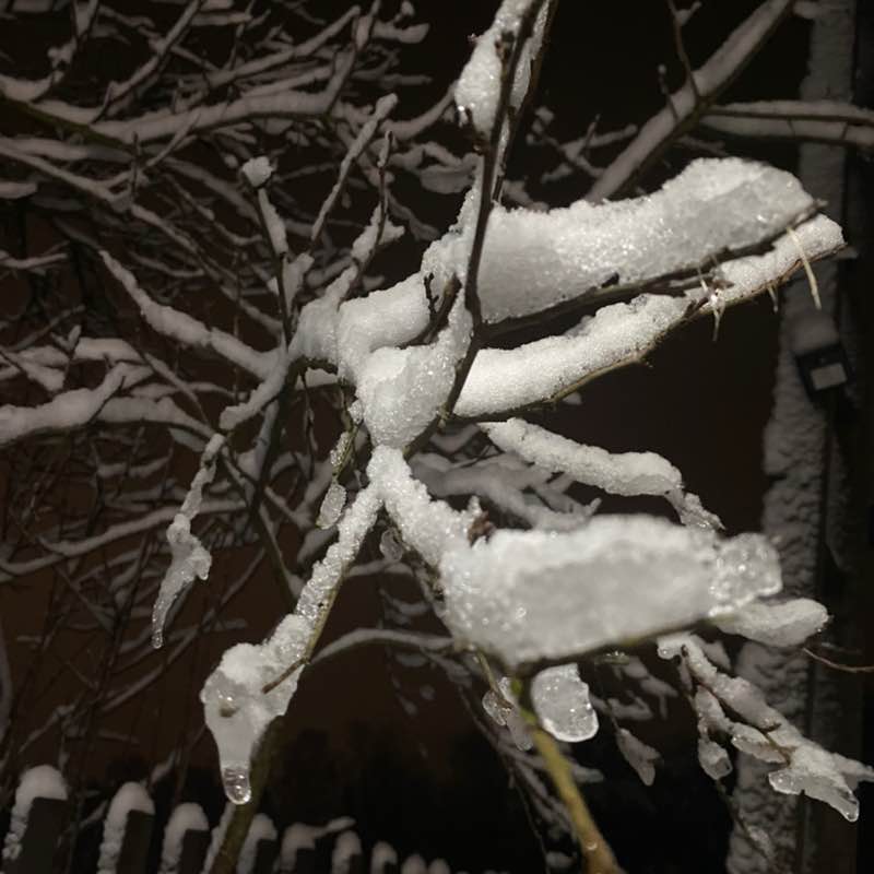 𝓐𝓵𝓮𝔁𝓪 𝓐𝓫𝓸𝓻𝓲𝓷𝓪 post 1