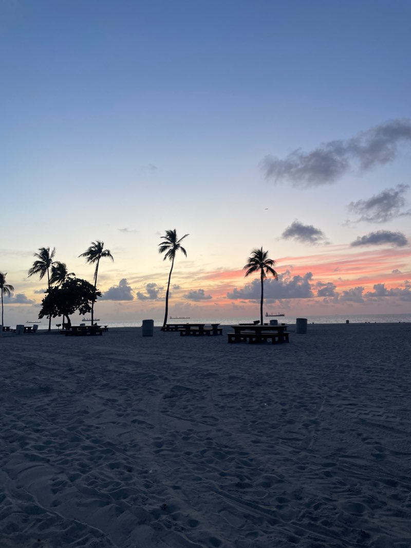 walking near me in Bonnet House Museum and Gardens in winter
