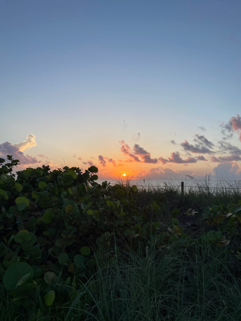 walking near me in Florence C Hardy Park in winter