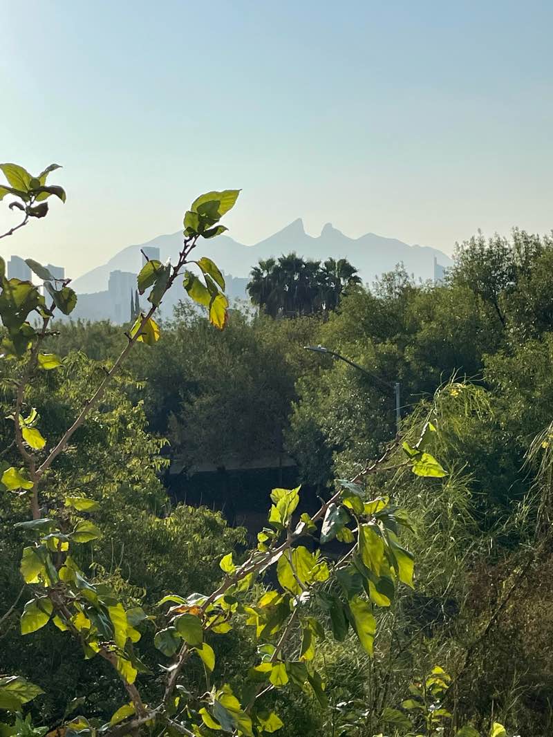 walking near me in Los Patos in winter