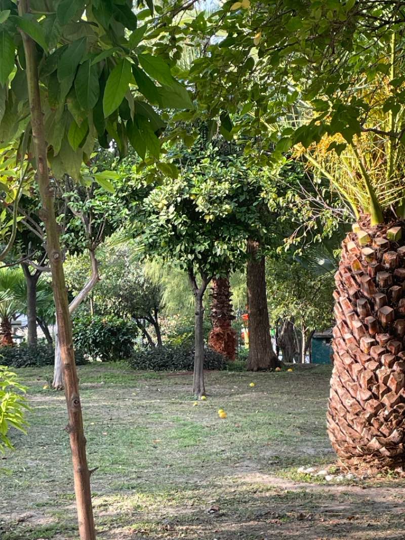 walking near me in Parque Infantil El Dulce in autumn