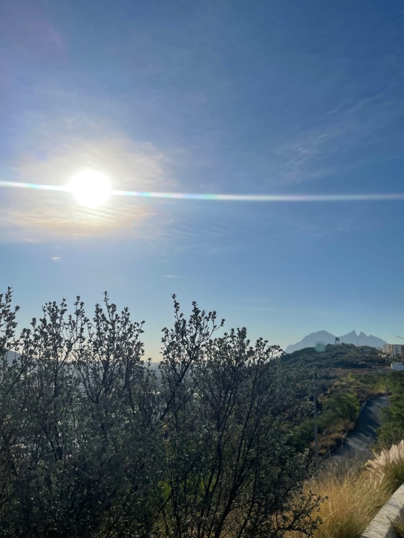walking near me in Parque Hundido 3° Sector in spring