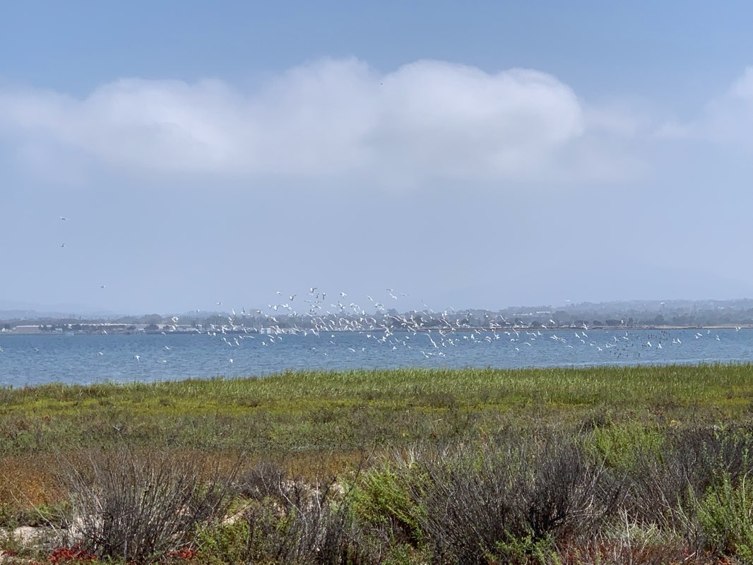 walking near me in South Bay County Biological Study Area in winter