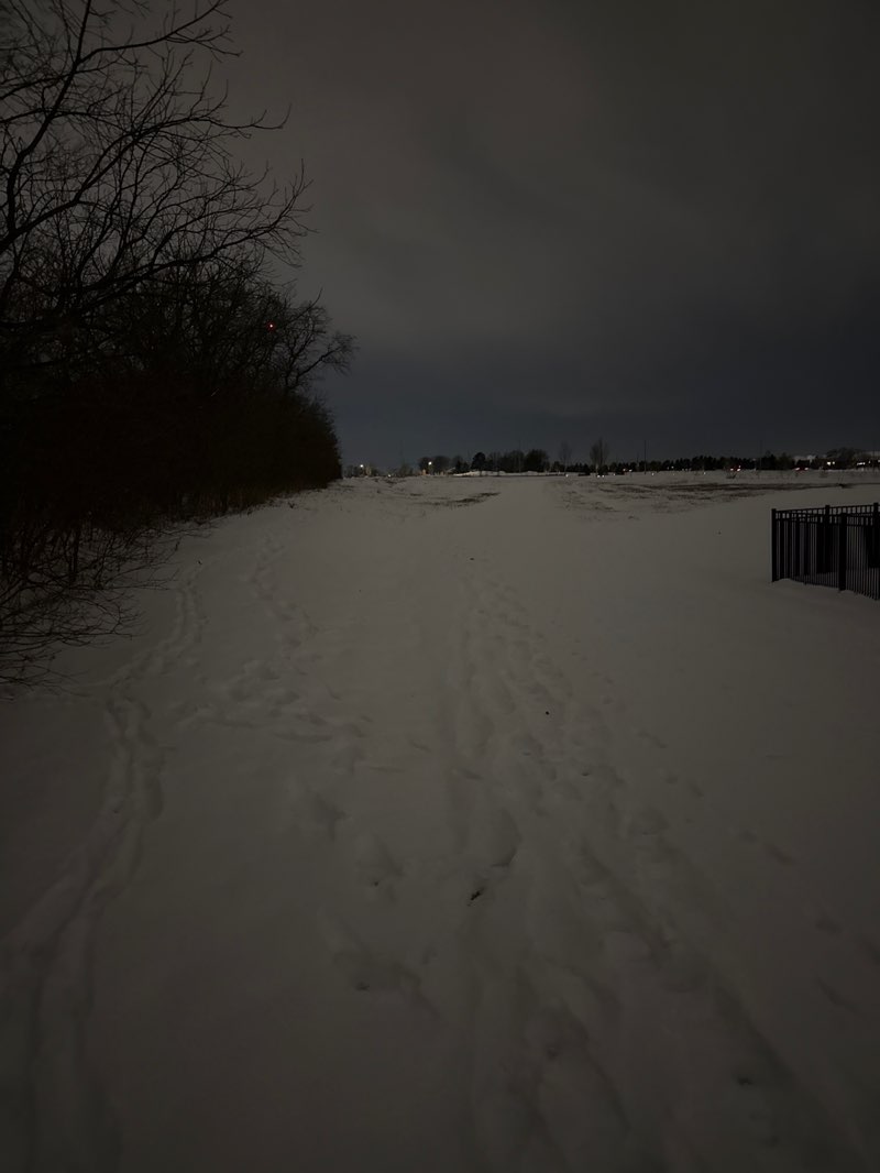 walking near me in Robert's Park in winter