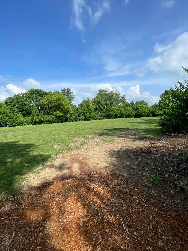 walking near me in Meadows Park in summer