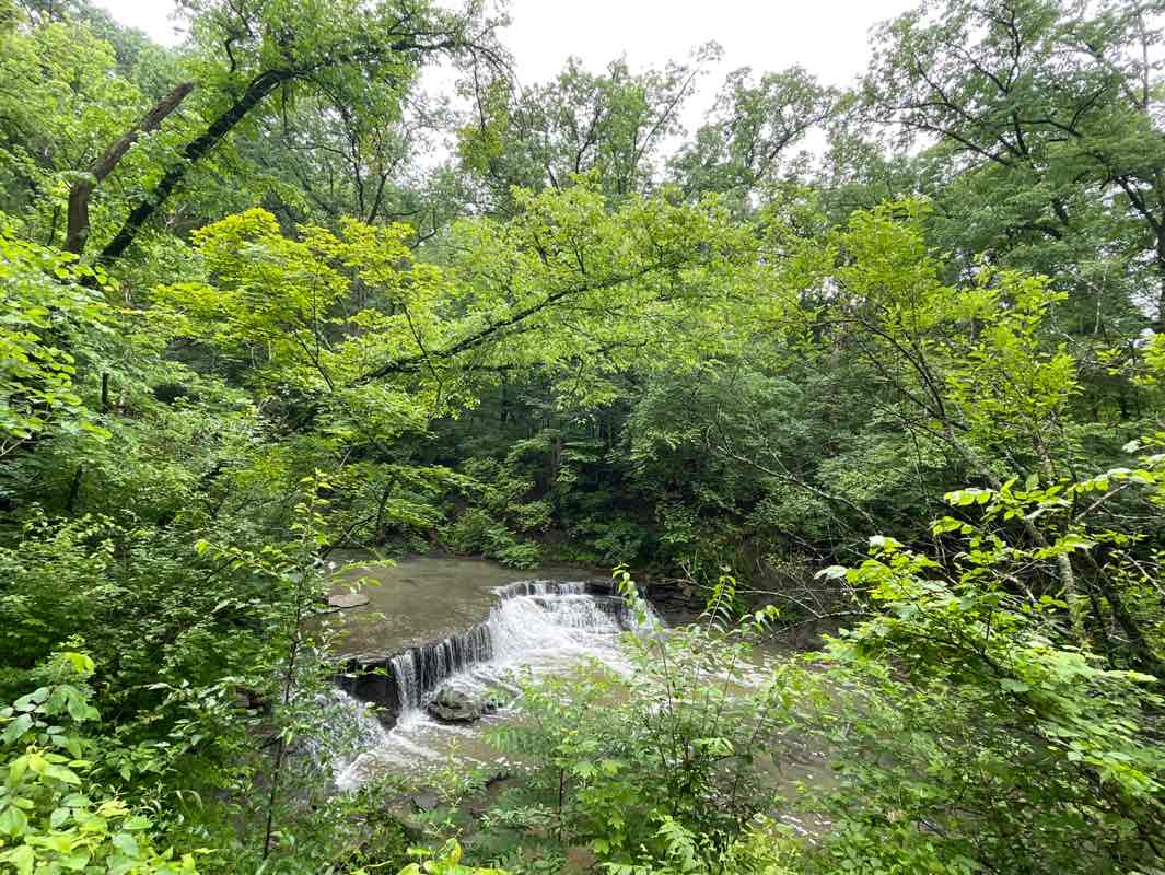 walking near me in Sharon Woods in summer