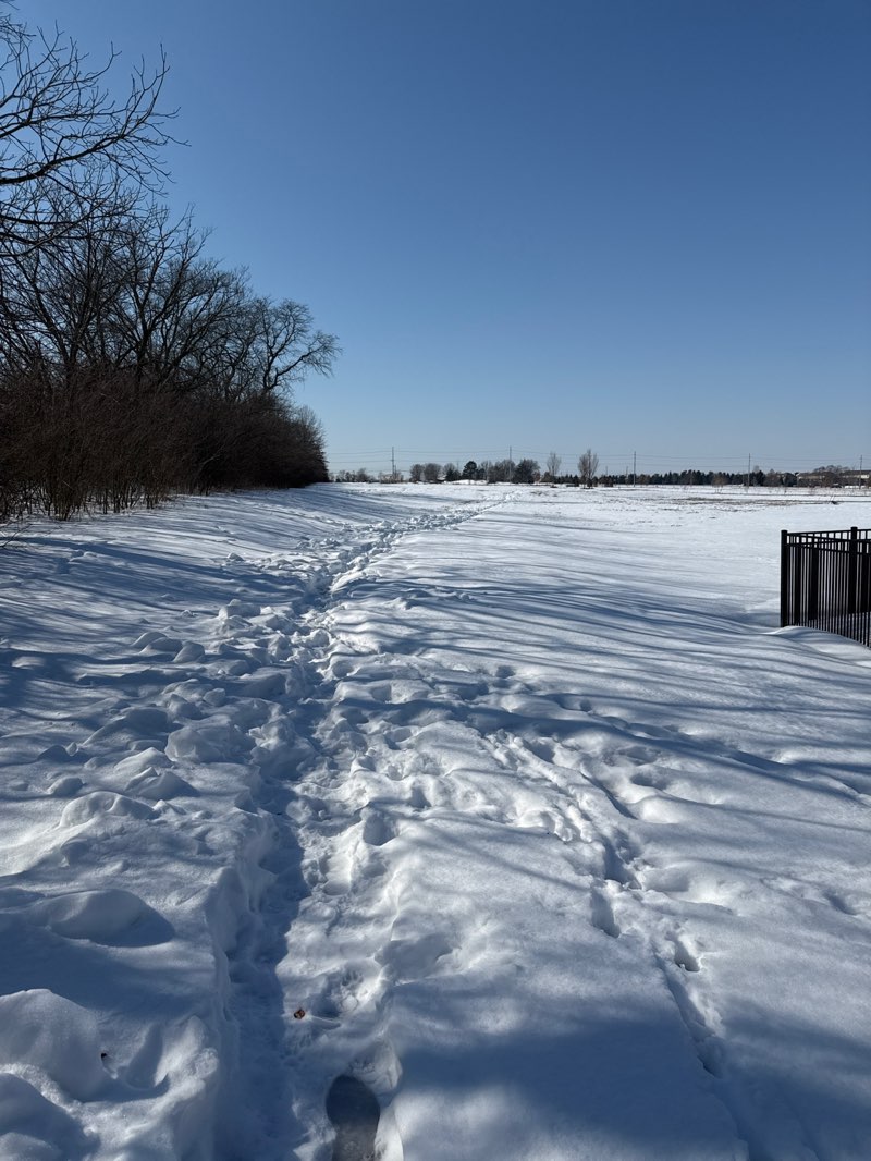walking near me in Robert's Park in winter