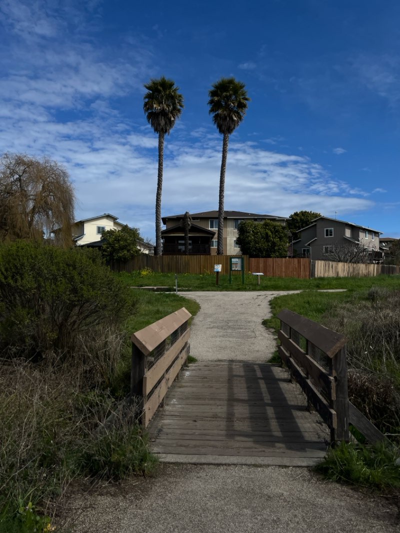 walking near me in Hope Drive Park in spring