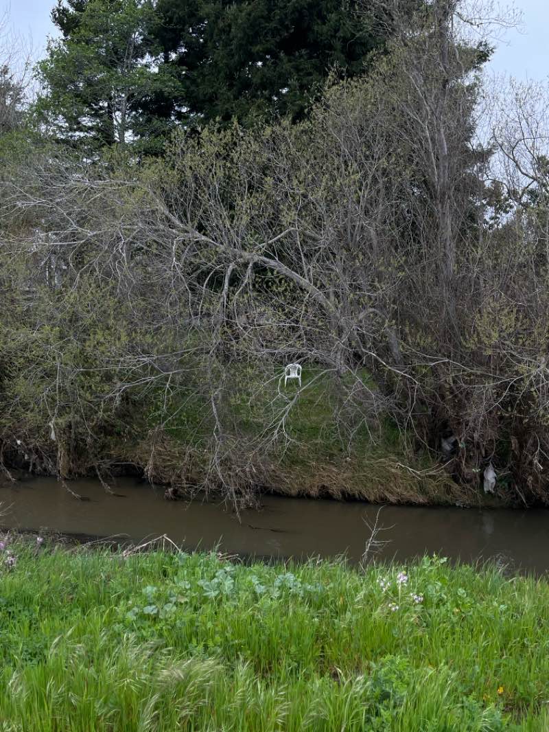 walking near me in Pajaro River in spring