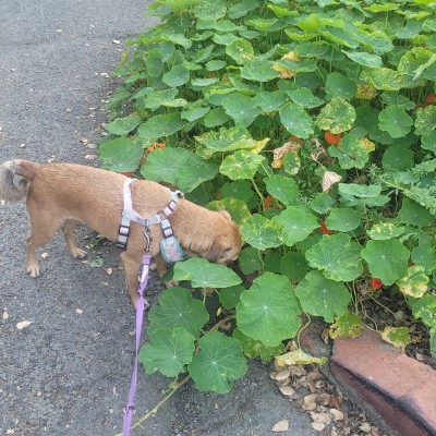 wittykittymeow post 3